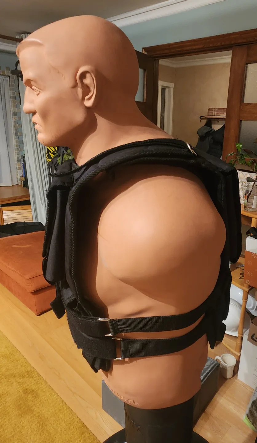Weight Vest: 5 to 75 Pounds/Lbs image indicator(5)