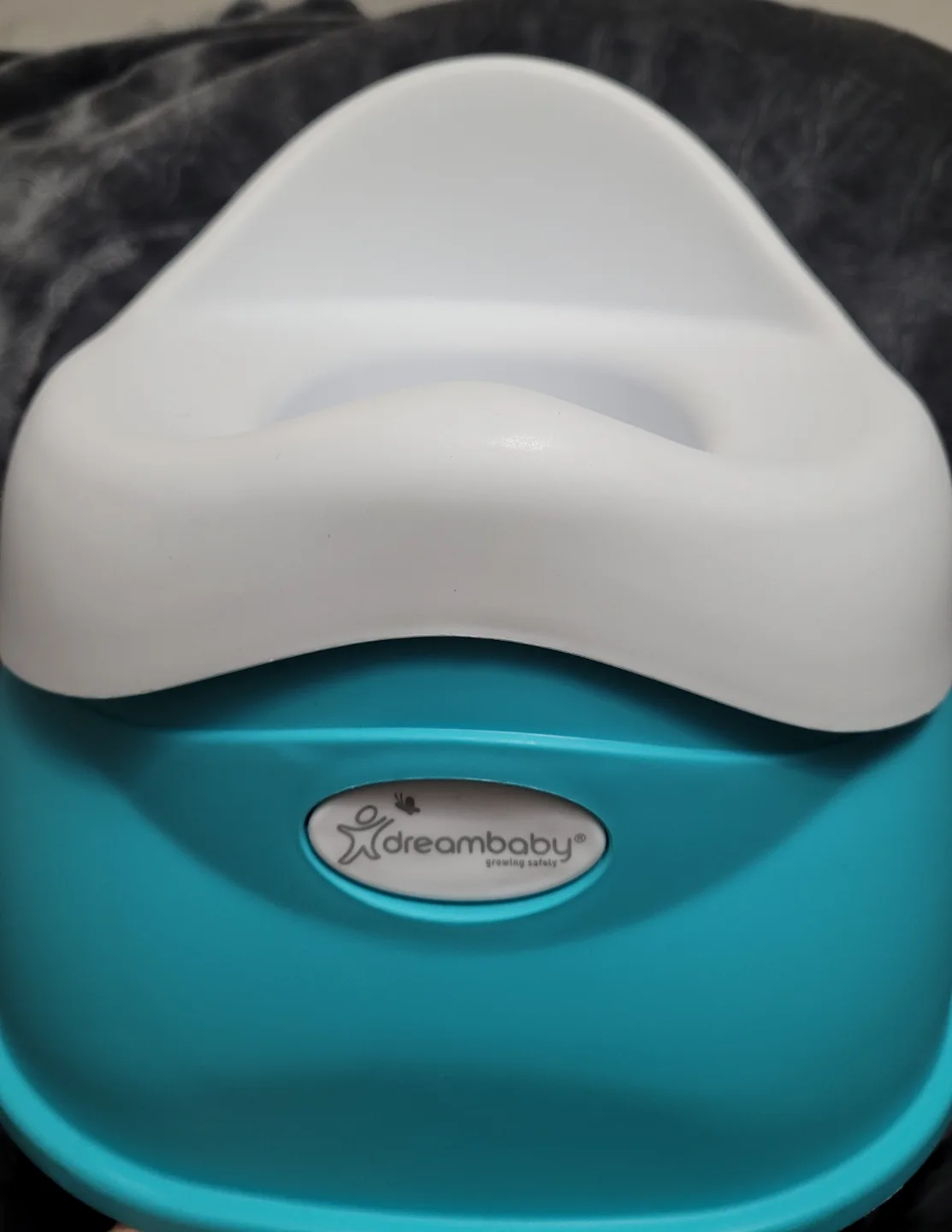 Dreambaby Potty Training Toilet - Teal thumbnail