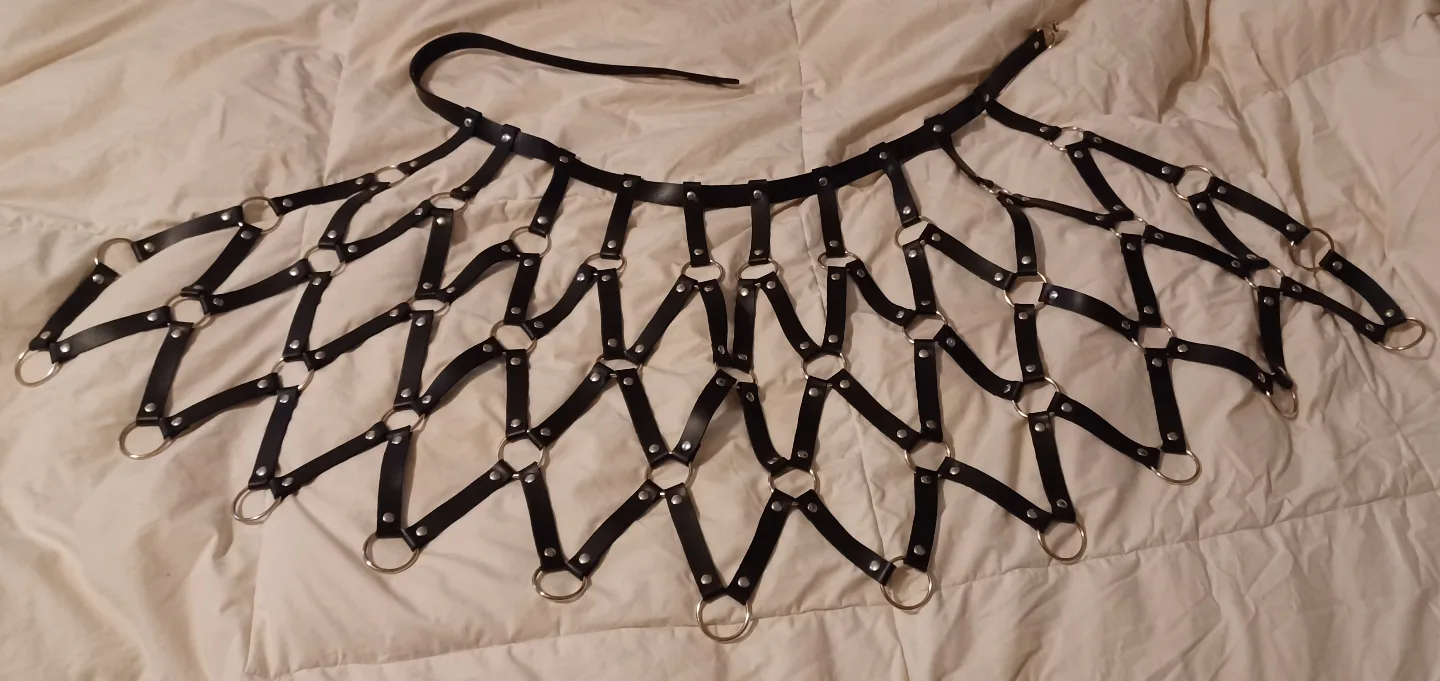 Pink and Black Leather Harness Skirt and Top Set image indicator(9)