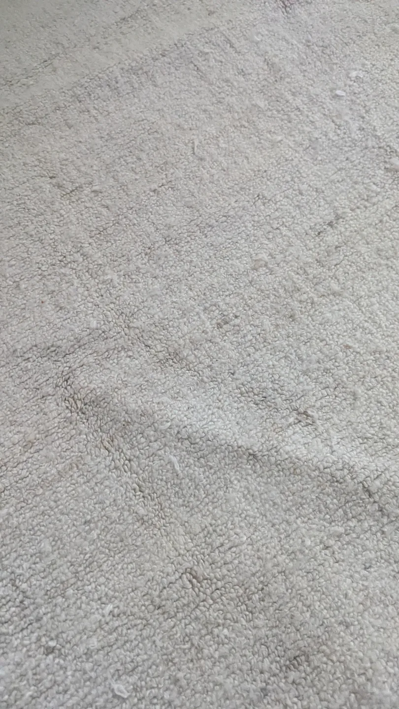 white Shag Rug image indicator(2)