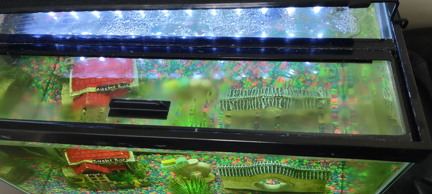 Complete aquarium setup with accessories - photo 4