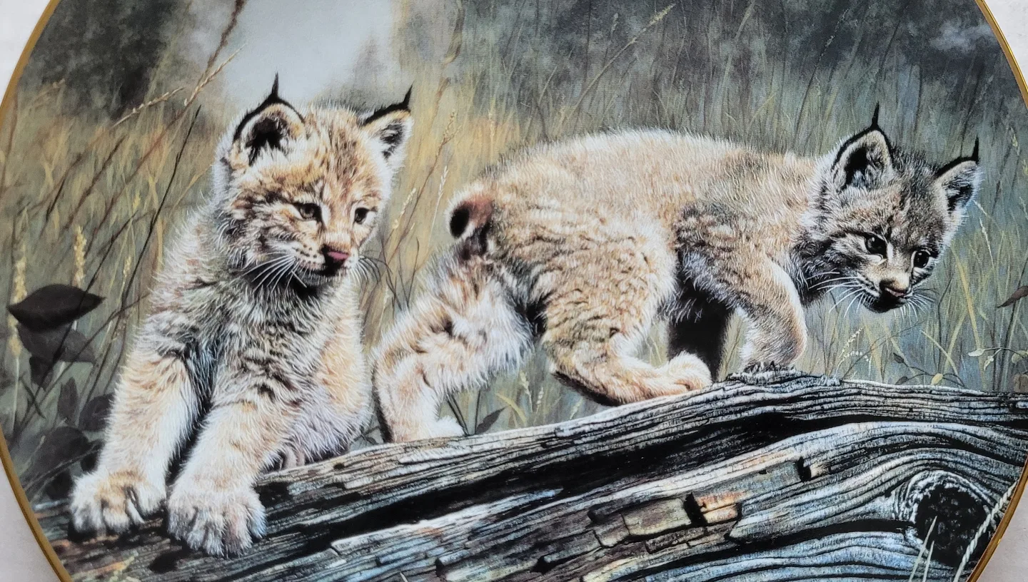 Cat and Racoon Collector Plates image indicator(10)