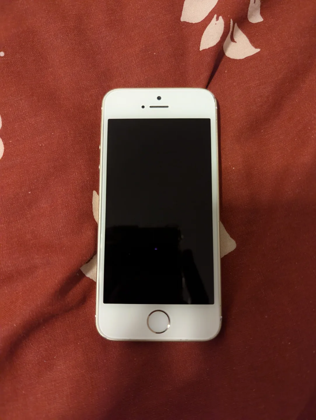 iPhone SE (1st Generation) - 16 GB - Gold (Read Description) image indicator(2)