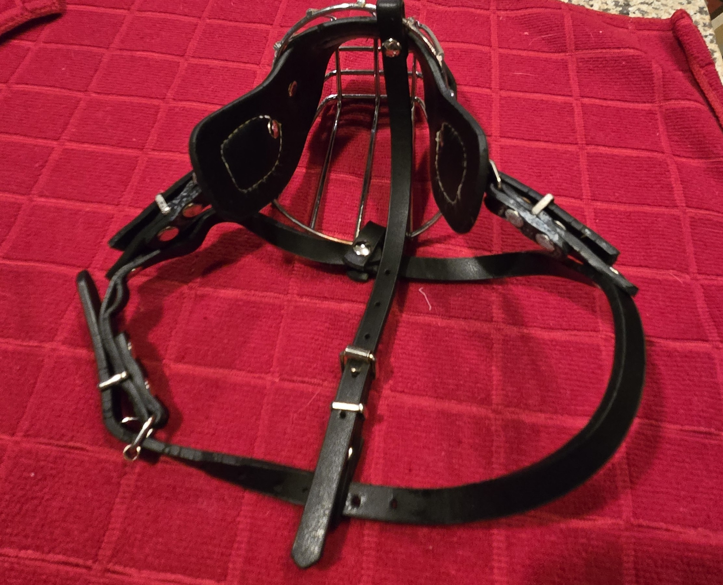 Black Leather Dog Muzzle with Metal Cage - photo 3
