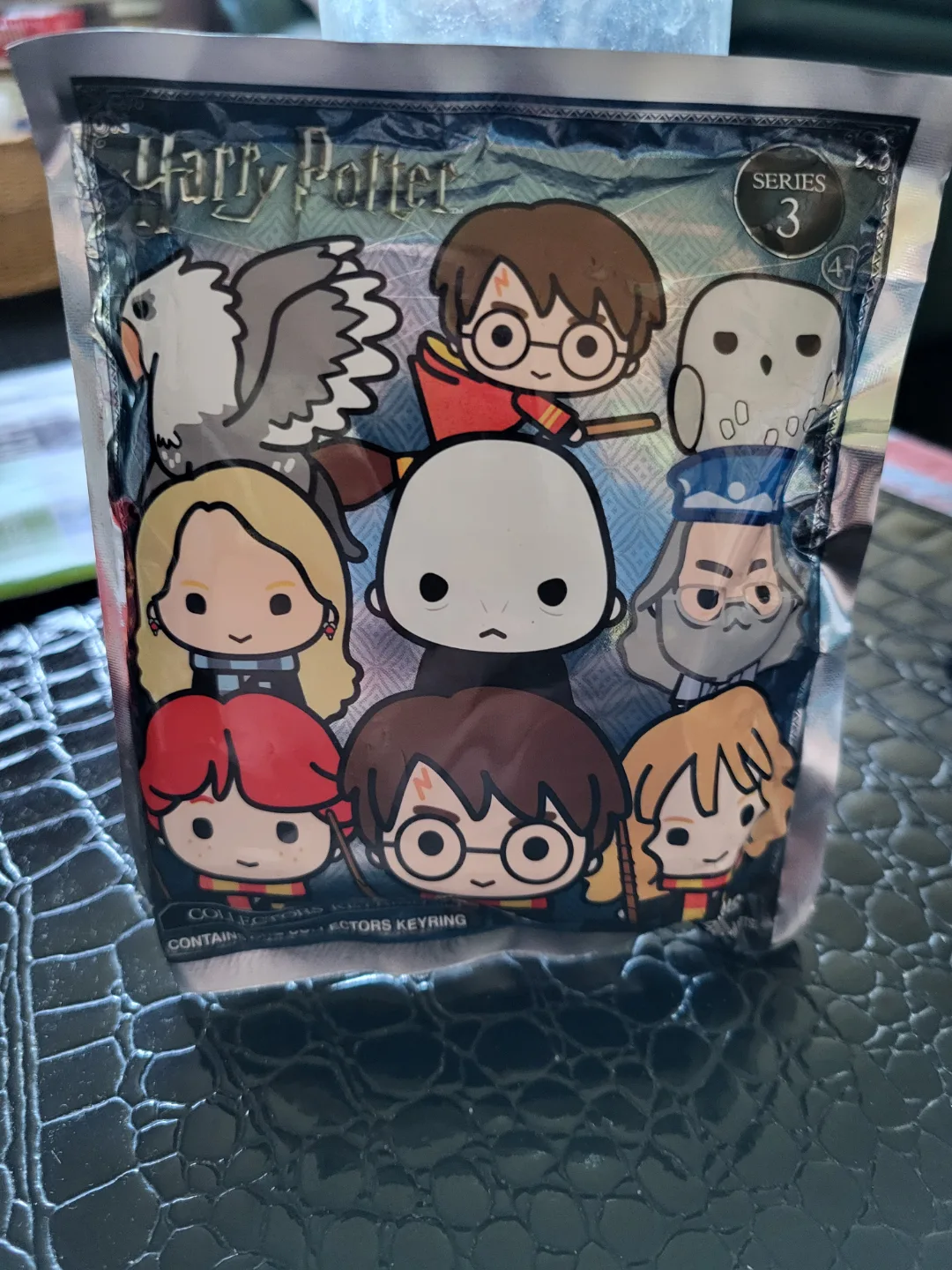 Harry Potter Series 3 Collectors Keyring Blind Bag image indicator(2)