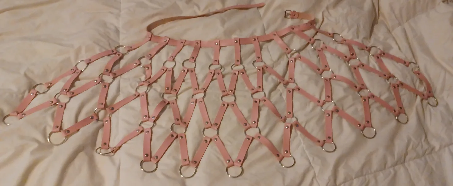 Pink and Black Leather Harness Skirt and Top Set image indicator(3)