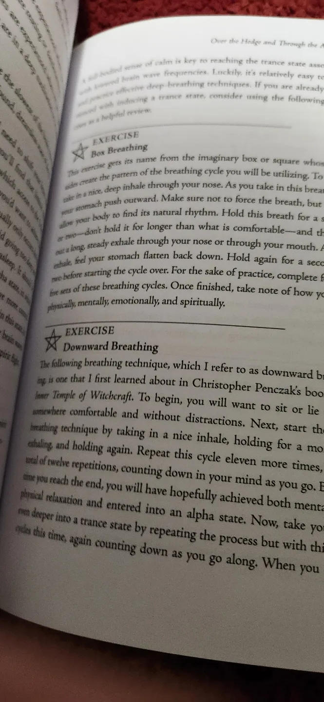 Candle Magic: Working with Wax, Wick, and Flame by Lady Passion image indicator(2)