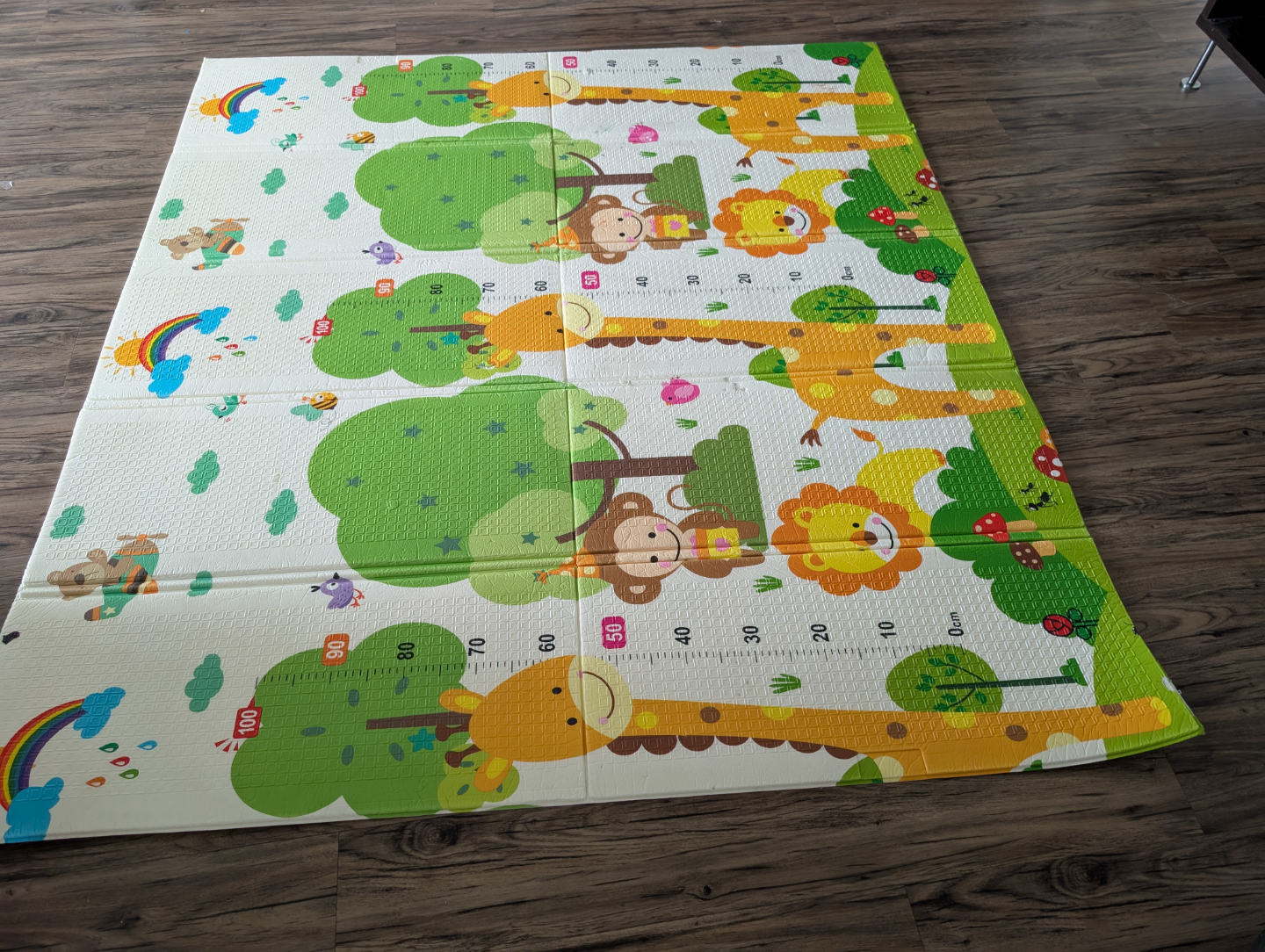 Two Foldable Play Mats for Kids