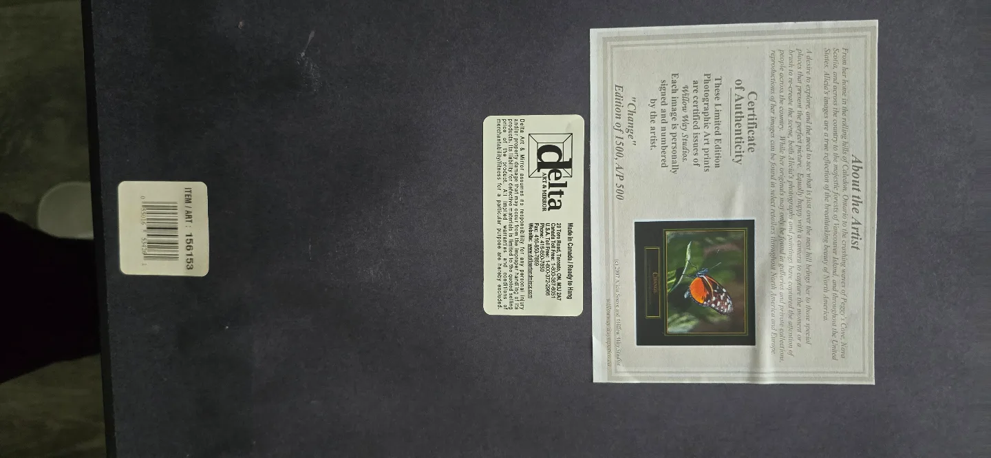 Framed Butterfly Photograph - Limited Edition Print image indicator(3)