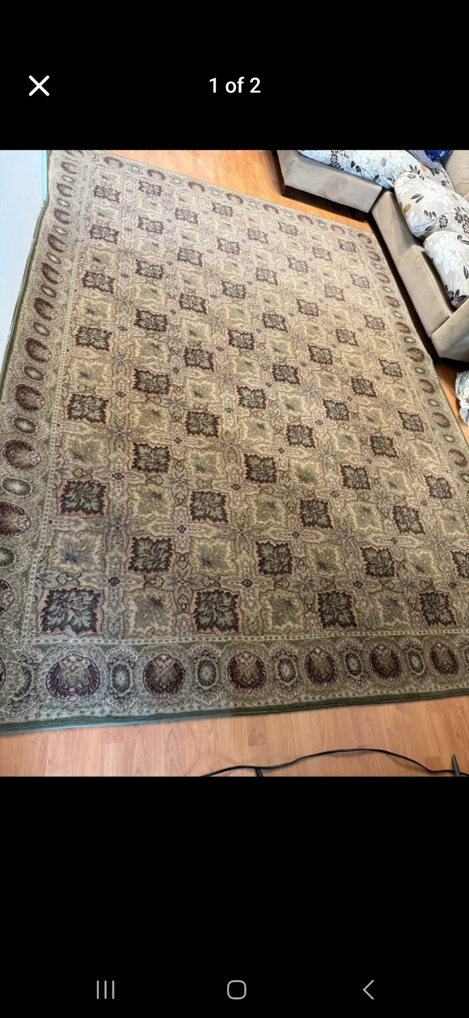 Large Area Rug - photo 2