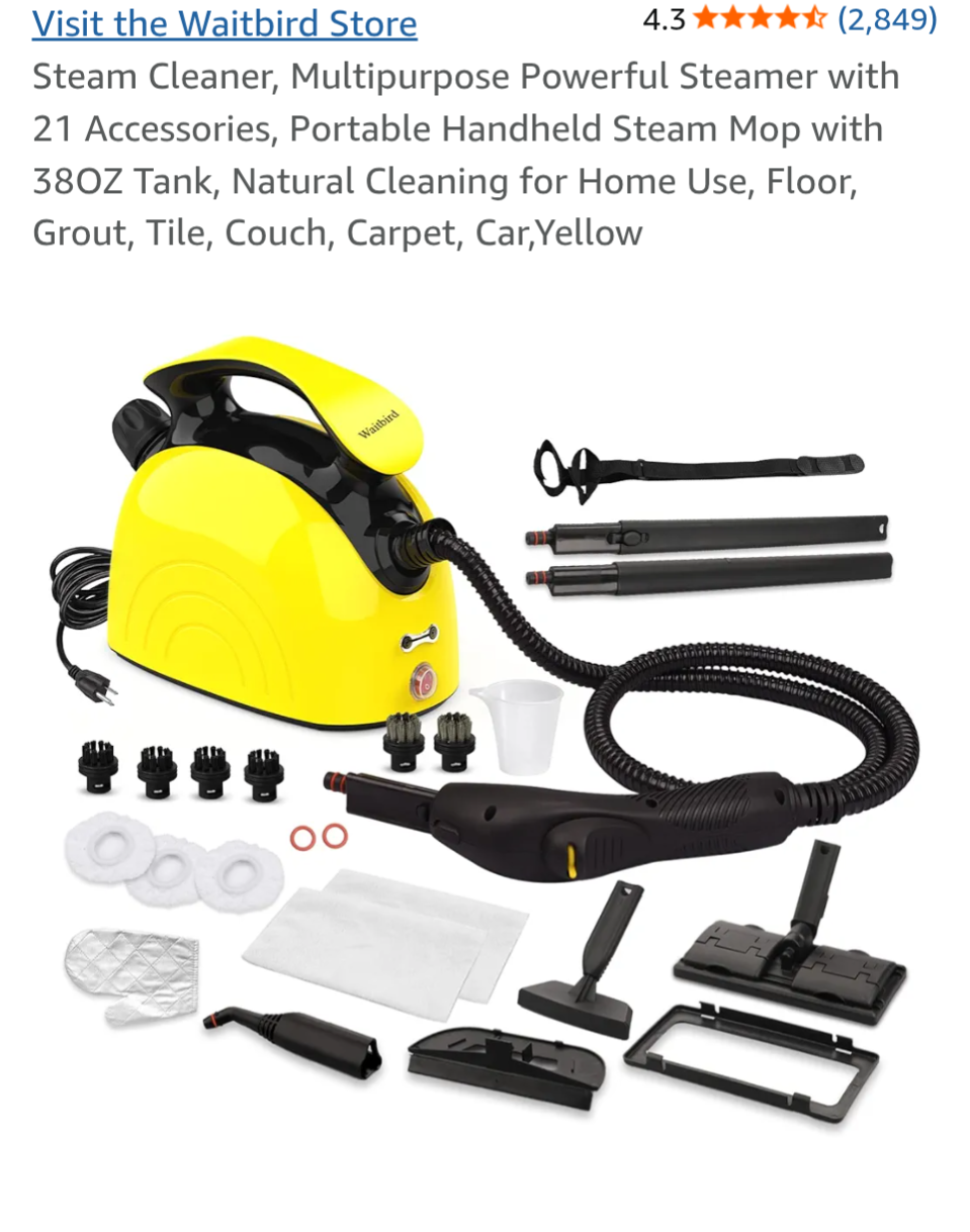 Moving out Sale - Multipurpose Steam Cleaner