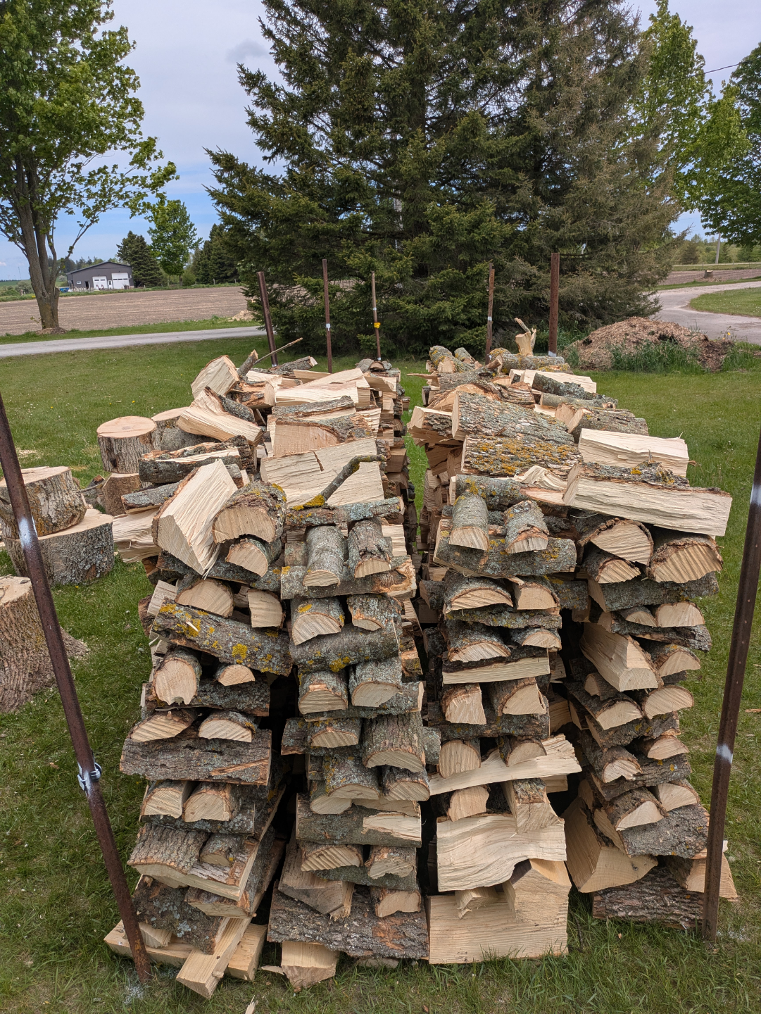 firewood hardwood