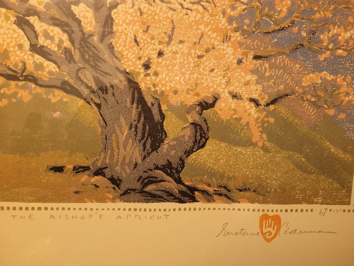 Framed Print - The Bishop's Apricot by Gustave Baumann image indicator(2)