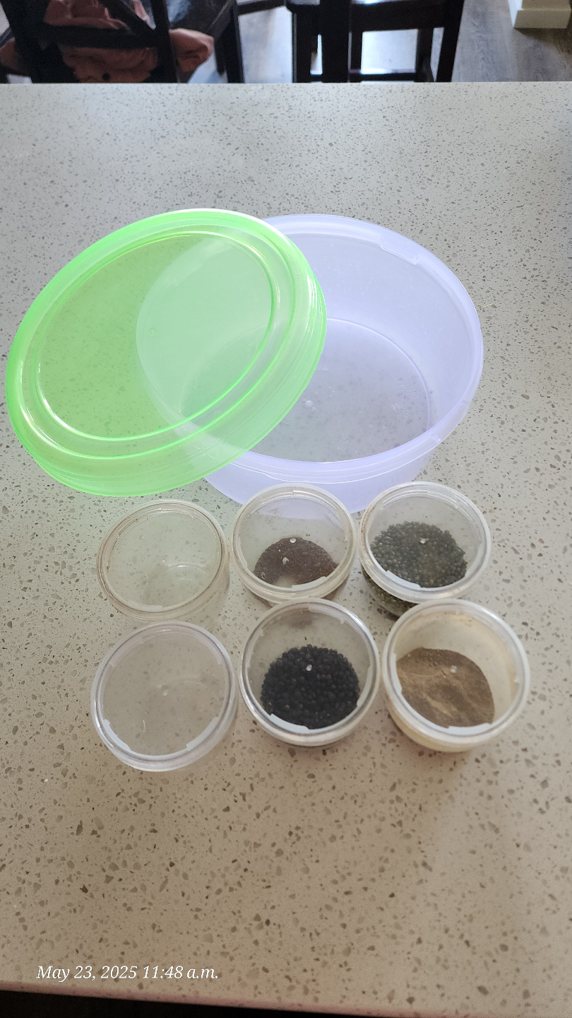 Spice Organizer with Containers