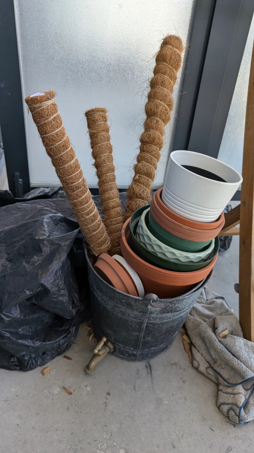 Various plant pots thumbnail