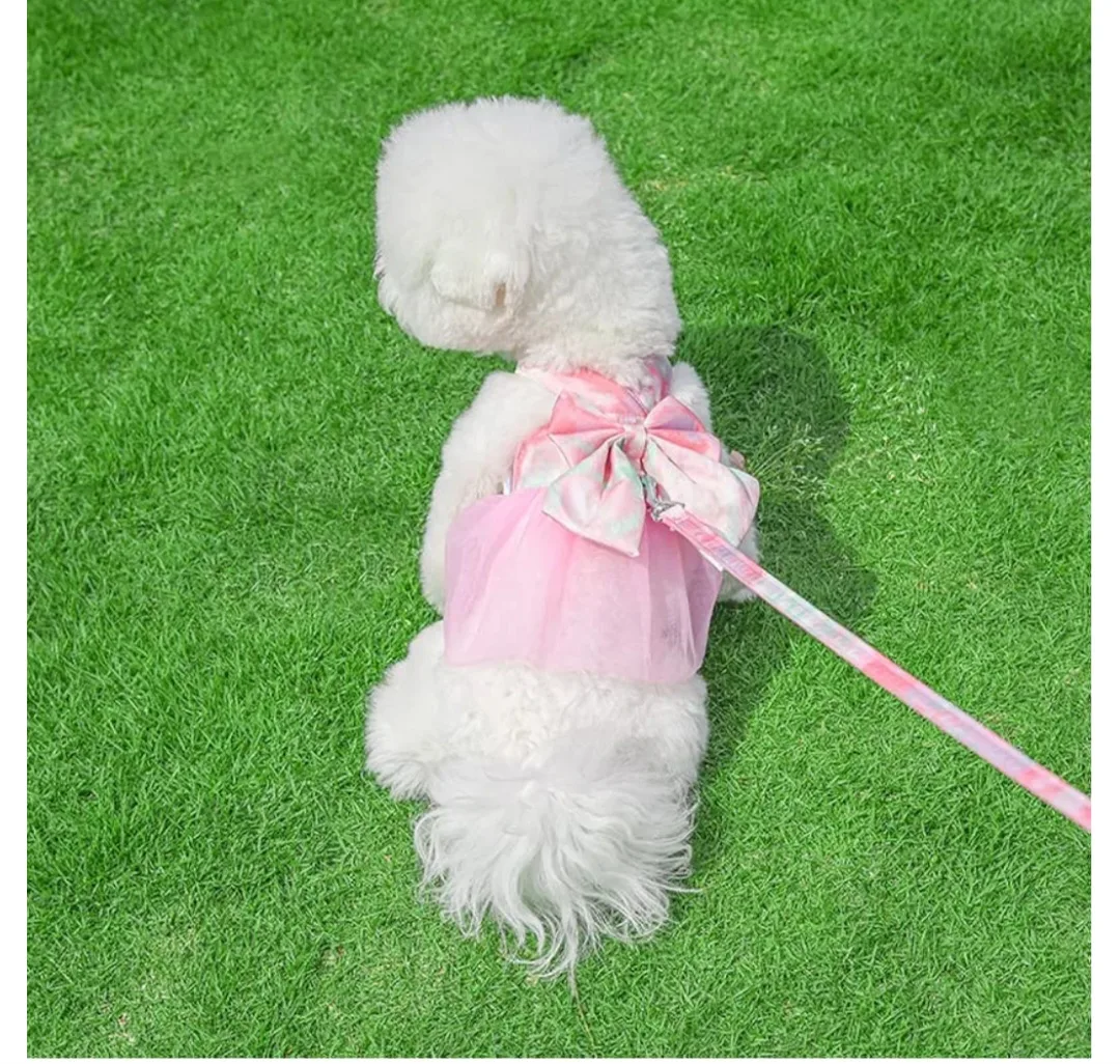 Pet Harness and Leash Set - Size XS image indicator(5)