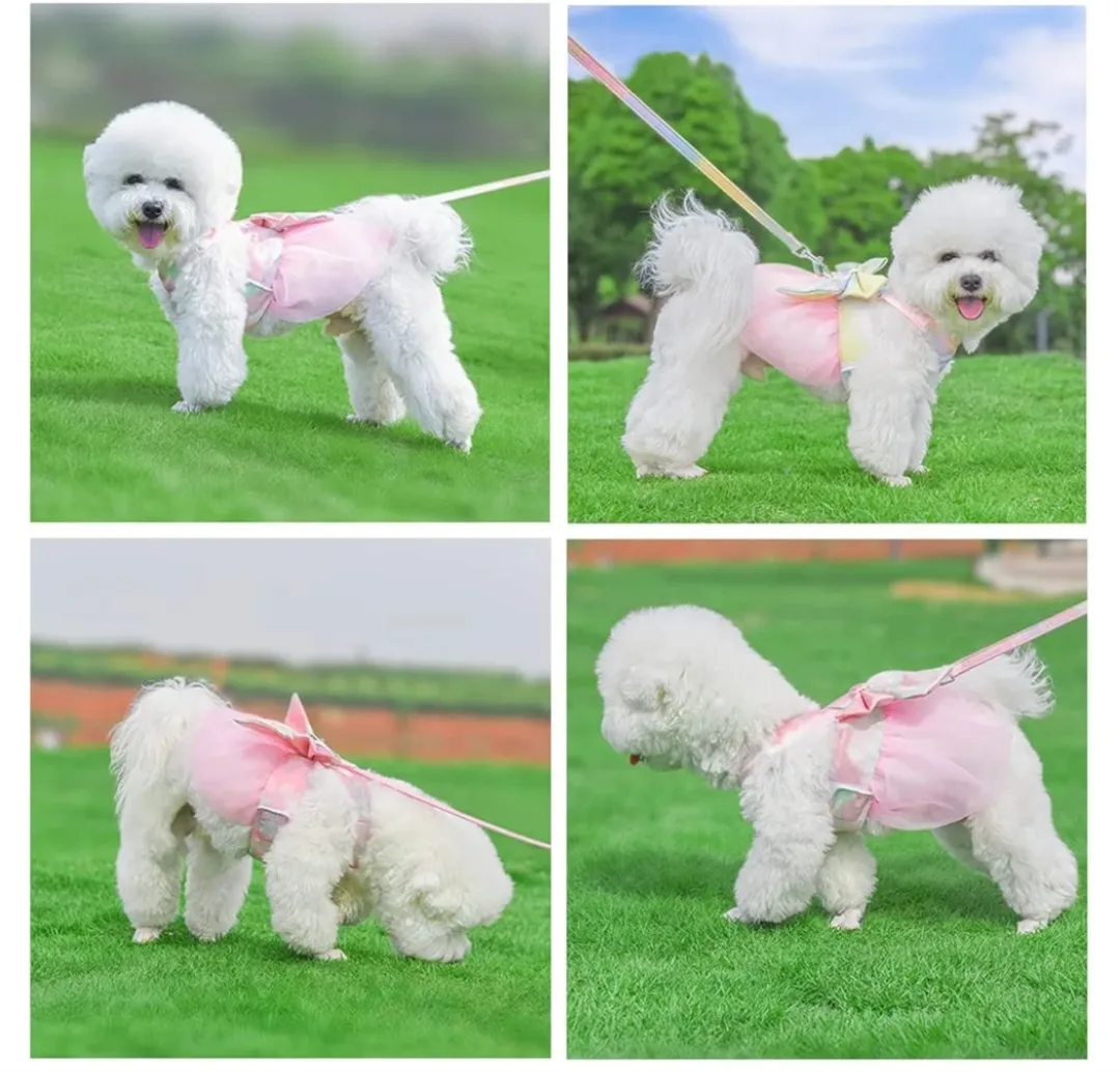 Pet Harness and Leash Set - Size XS image indicator(6)