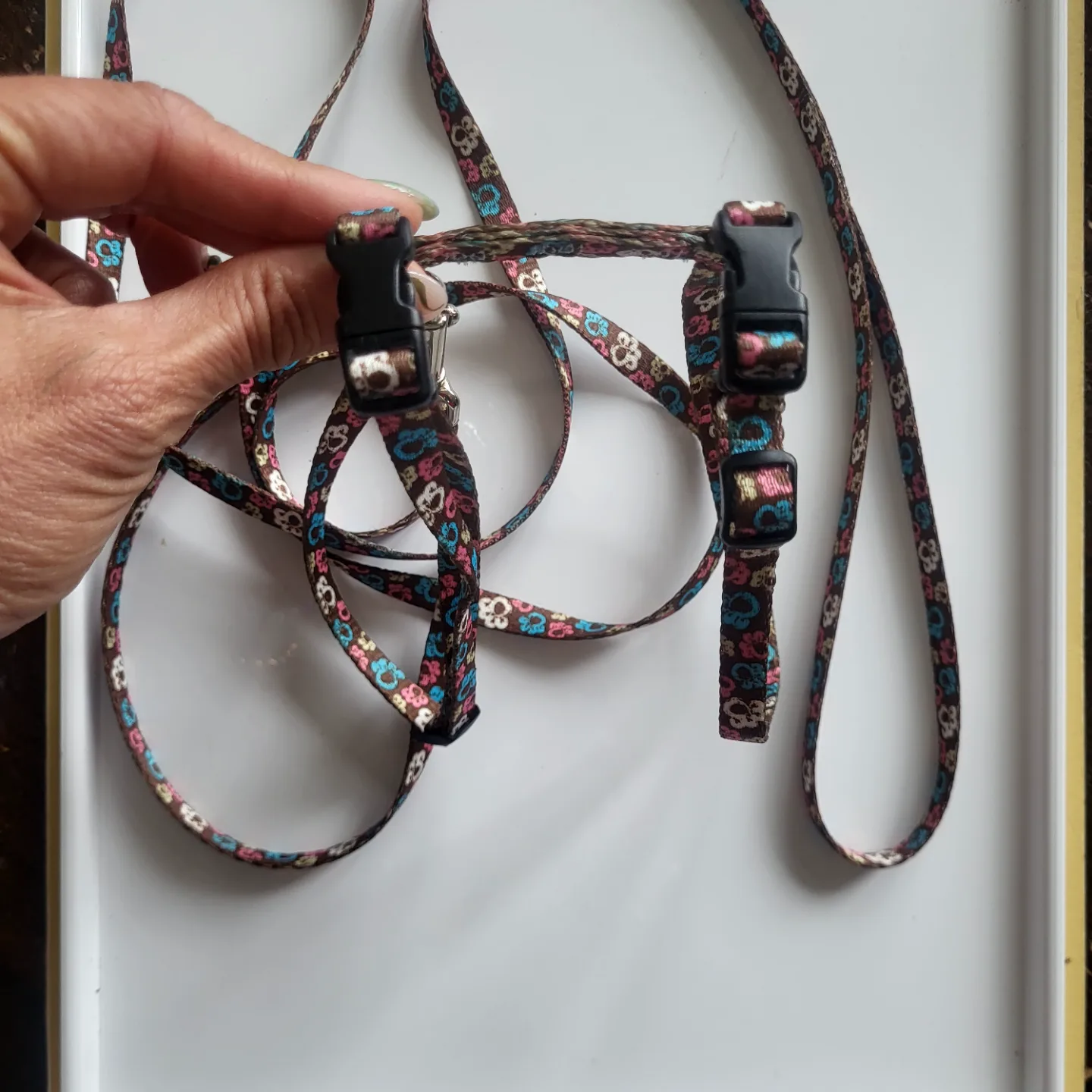 NEW Cute Cat Harness and Leash Set image indicator(2)