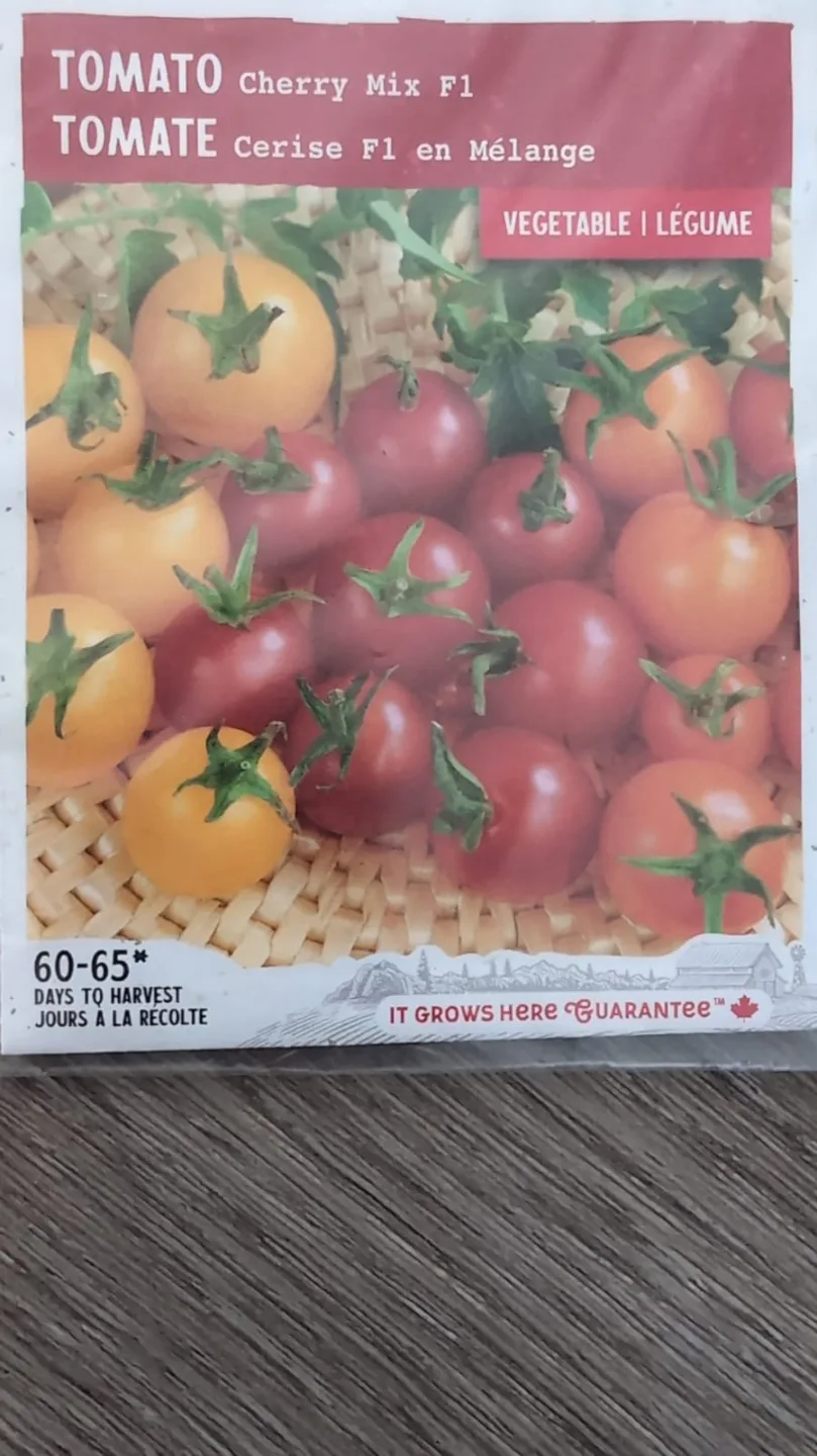 Cucumber, Zucchini, Romano Bean, Okra, Lauki...seeds image indicator(5)