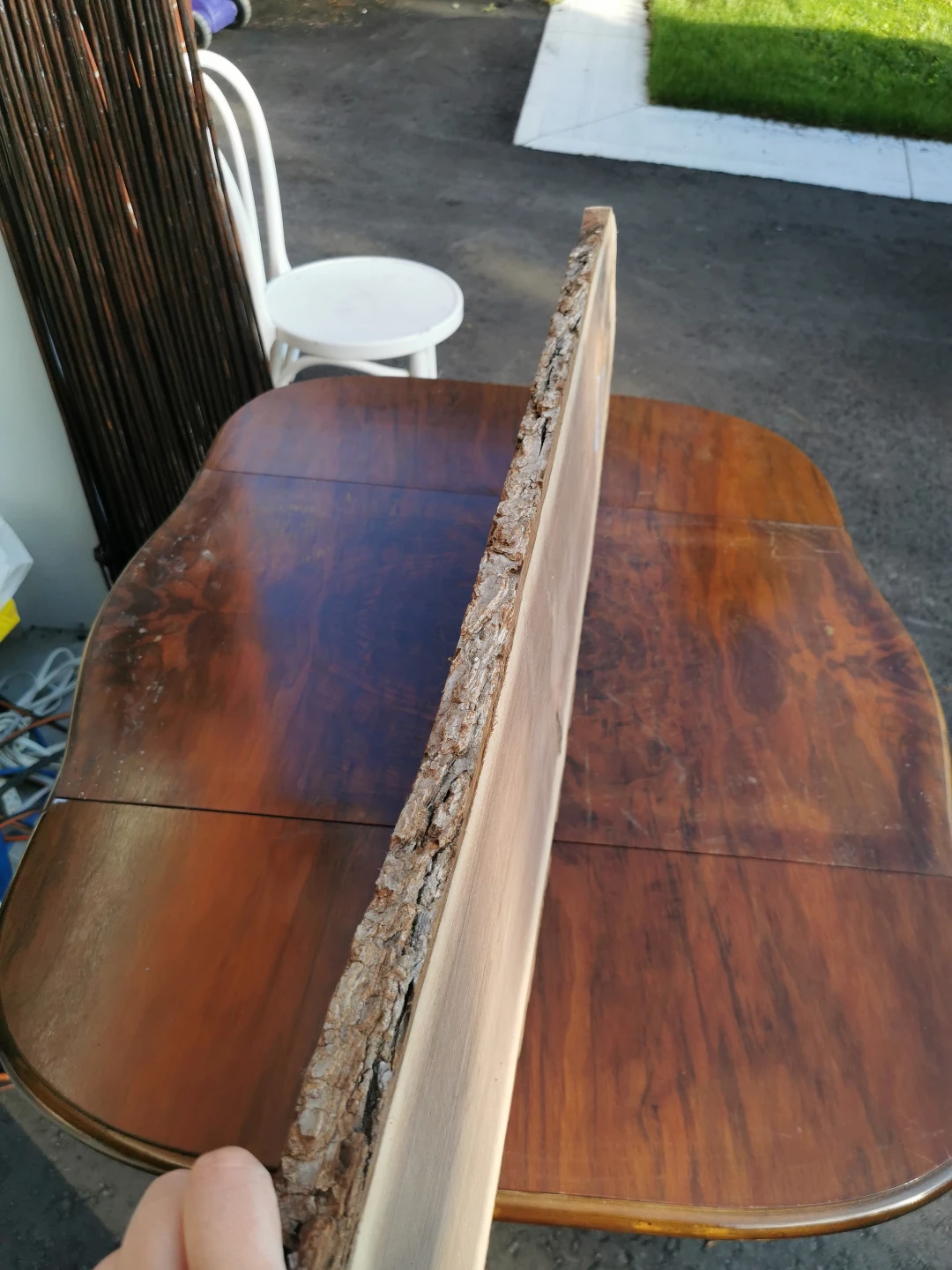 3 pieces Live Edge Walnut Wood Slab - 1955 - photo 2
