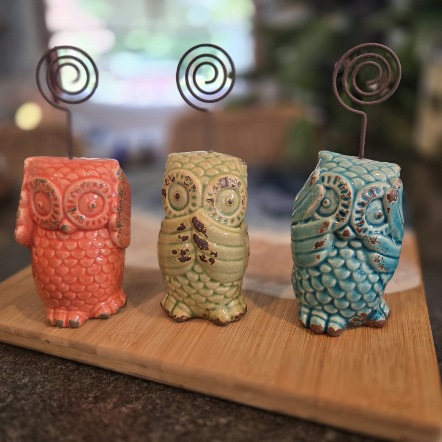 Three Wise Owls - photo 2