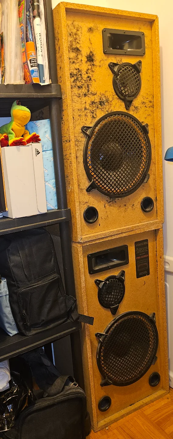 Samurai Speakers 🔊  #Cleanout