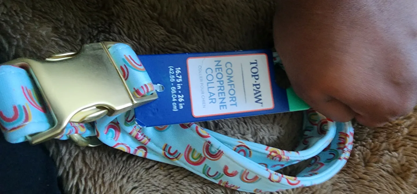 Top Paw Comfort Neoprene Dog Collar - Rainbow image indicator(3)
