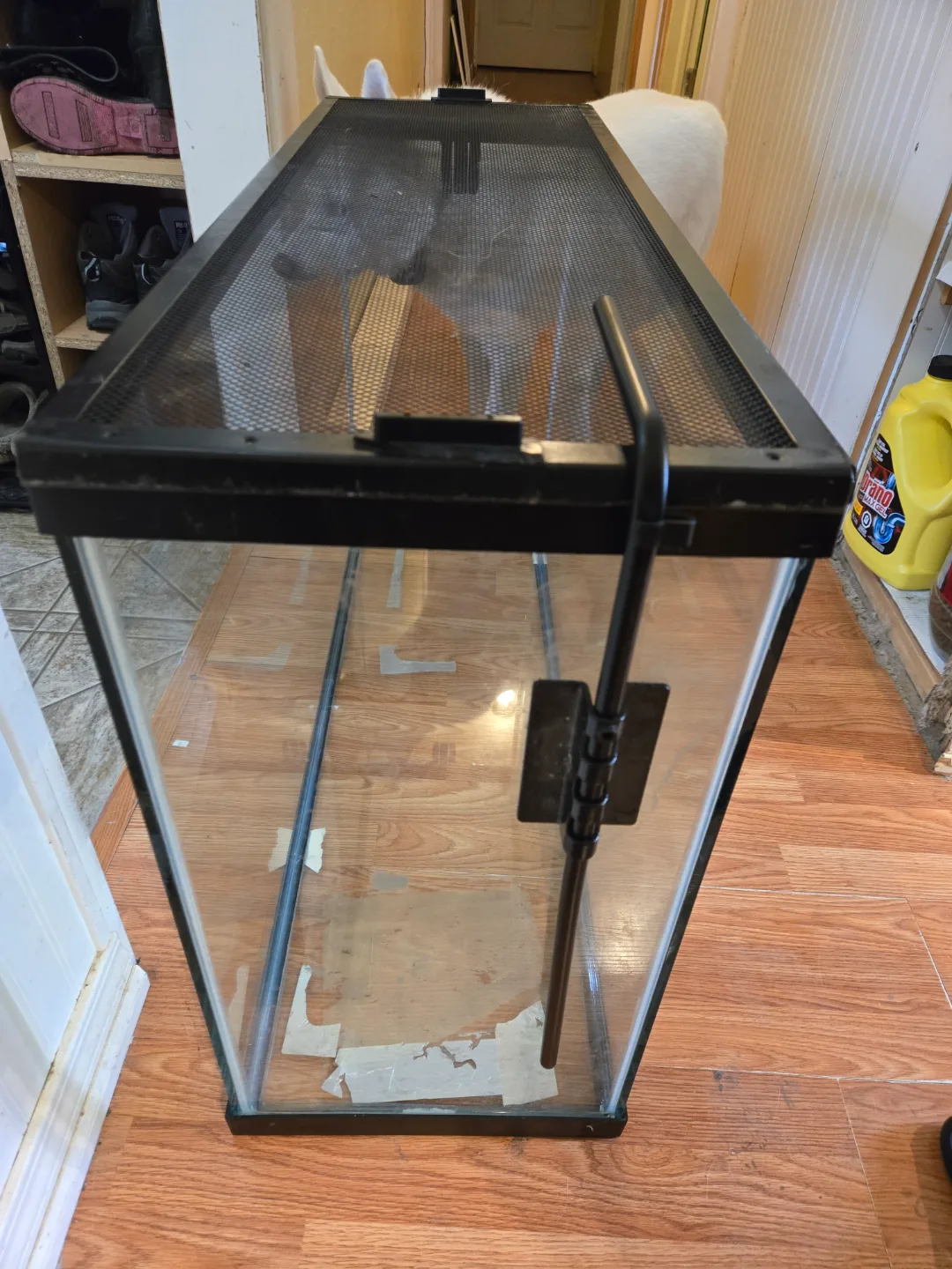 Large Terrarium (NOT AQUARIUM) $80 image indicator(5)