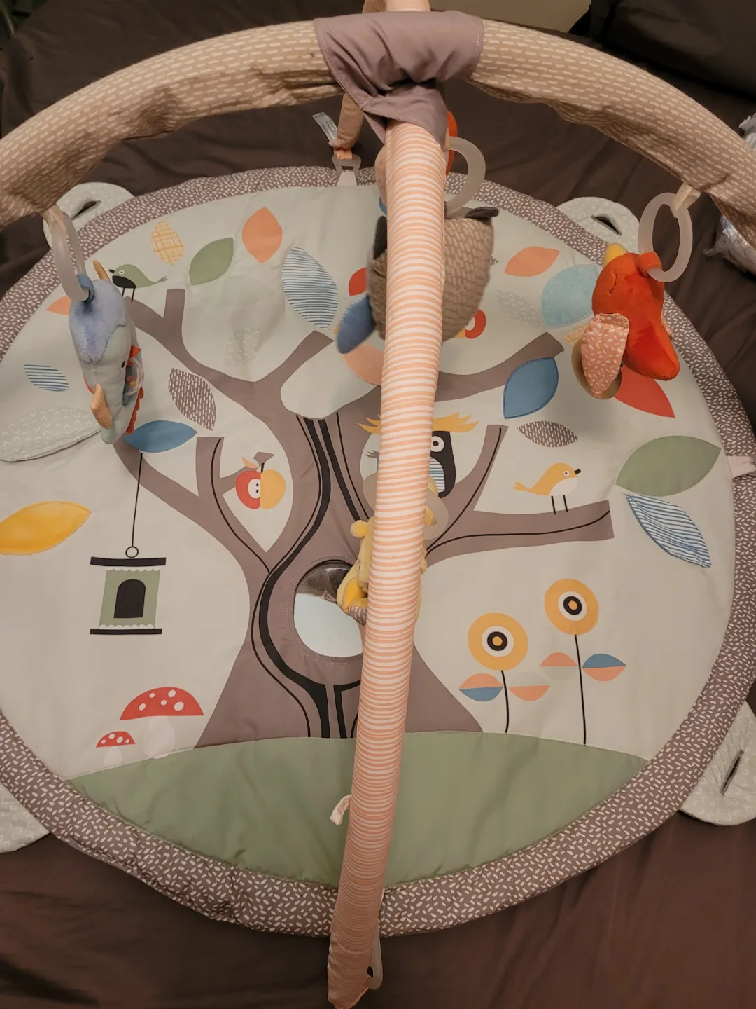 *Like New* Skip-Hop 3-in-1 Activity Gym image indicator(2)