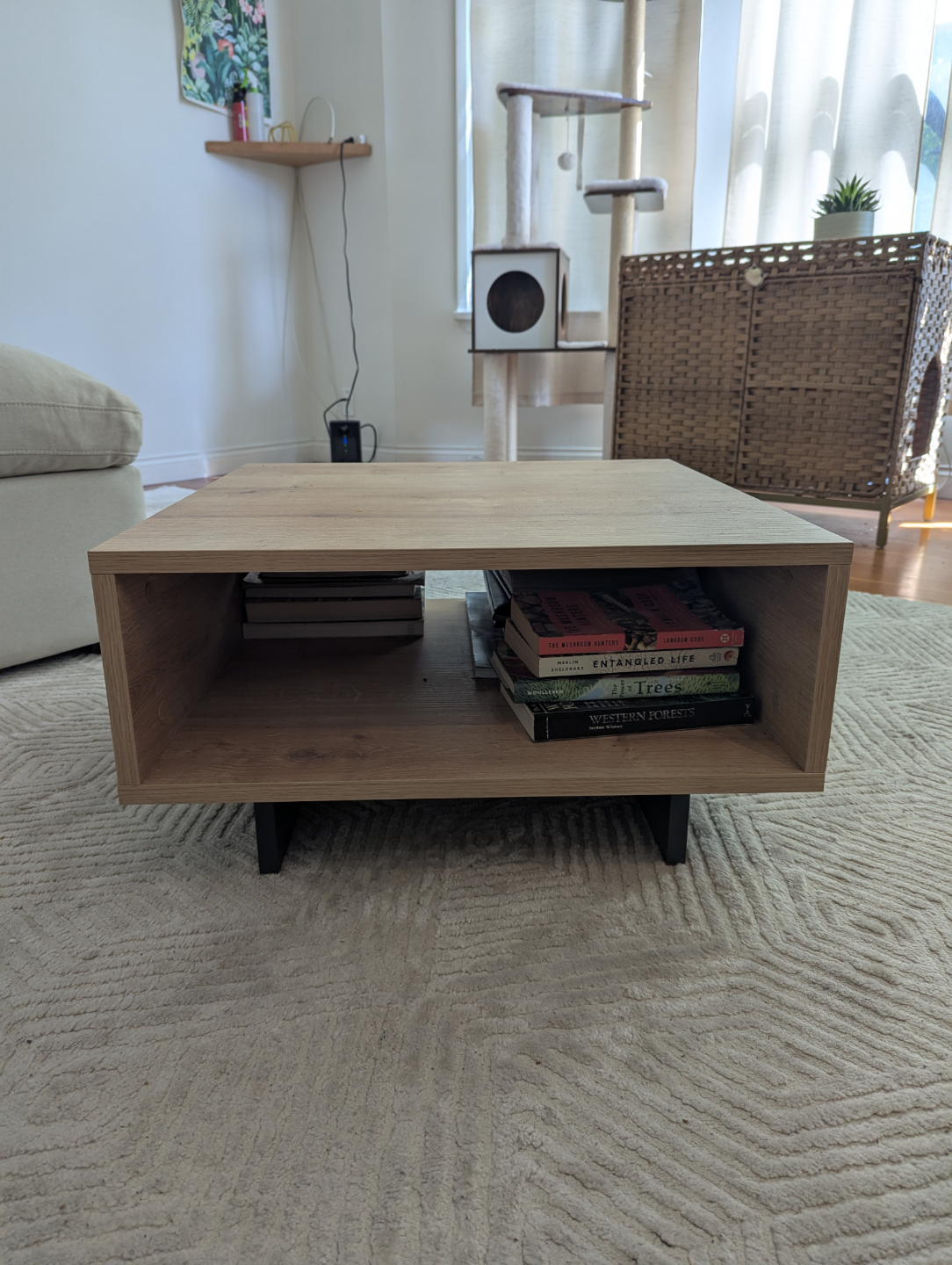 Modern Square Coffee Table with Open Shelf - photo 3