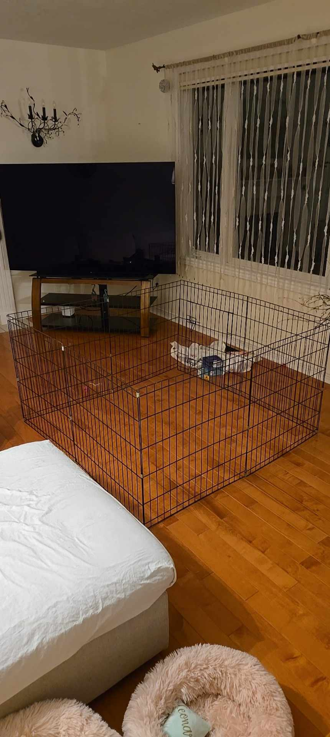 Black Metal  Foldable Pet Cage - photo 2