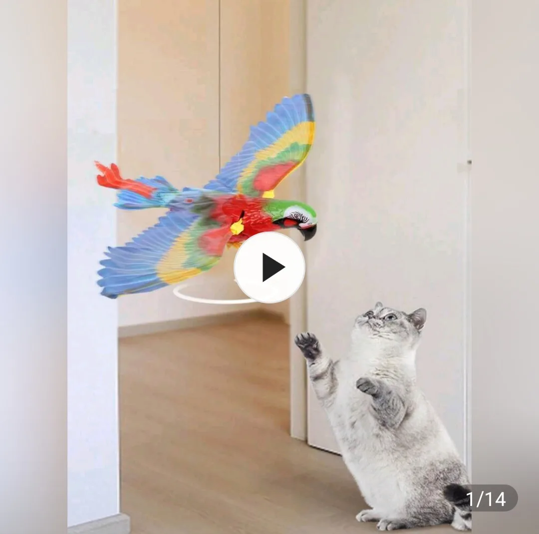 Pet Toy Bundle - Parrot, Kong Toy, Cat Harness, and More! image indicator(5)