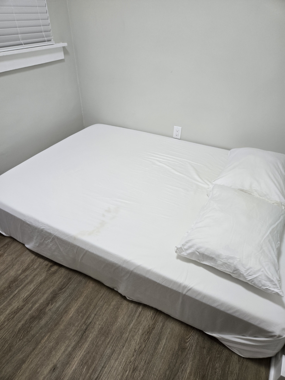 Two Pack of White Standard Pillows
