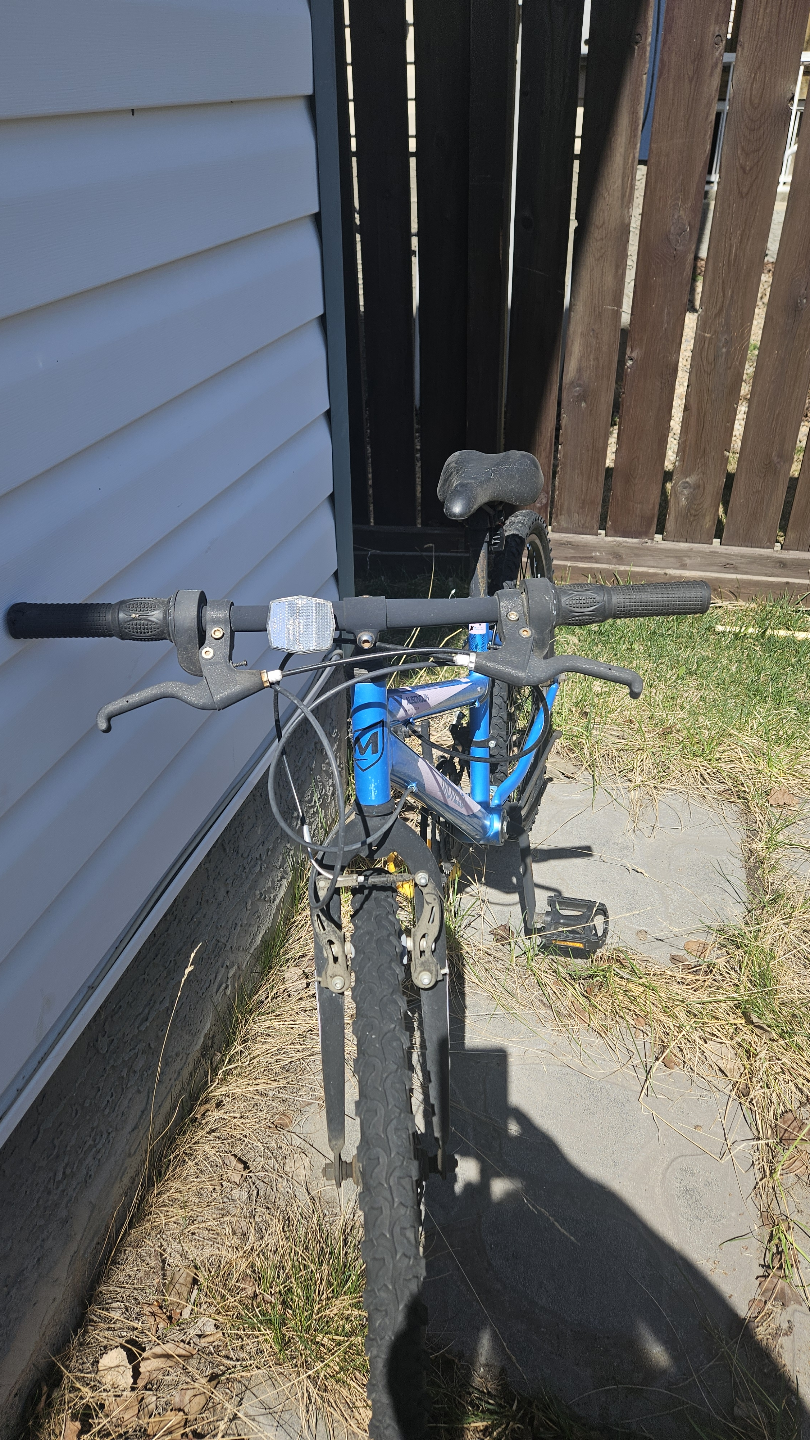 Girls' Mountain Bike