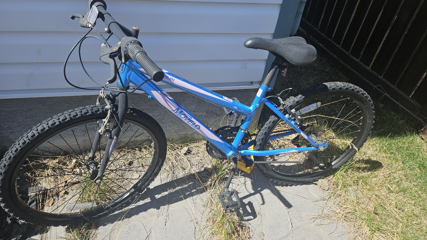 Girls' Mountain Bike - photo 3
