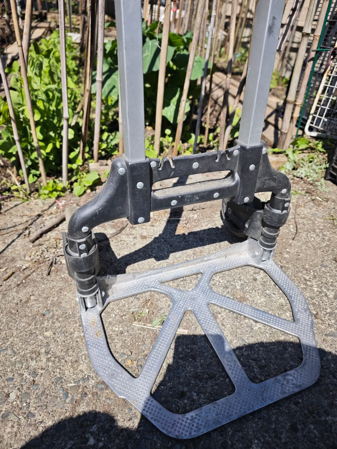 Magna Cart (FCFS!) image indicator(2)