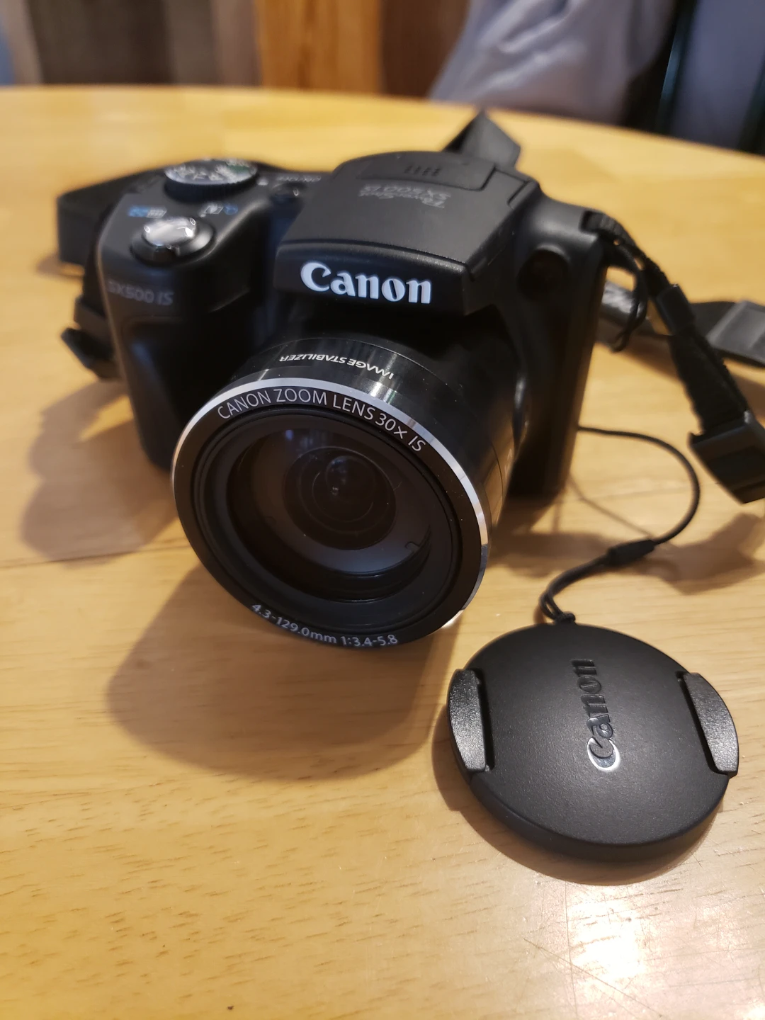 Canon PowerShot SX500 IS Digital Camera with Accessories