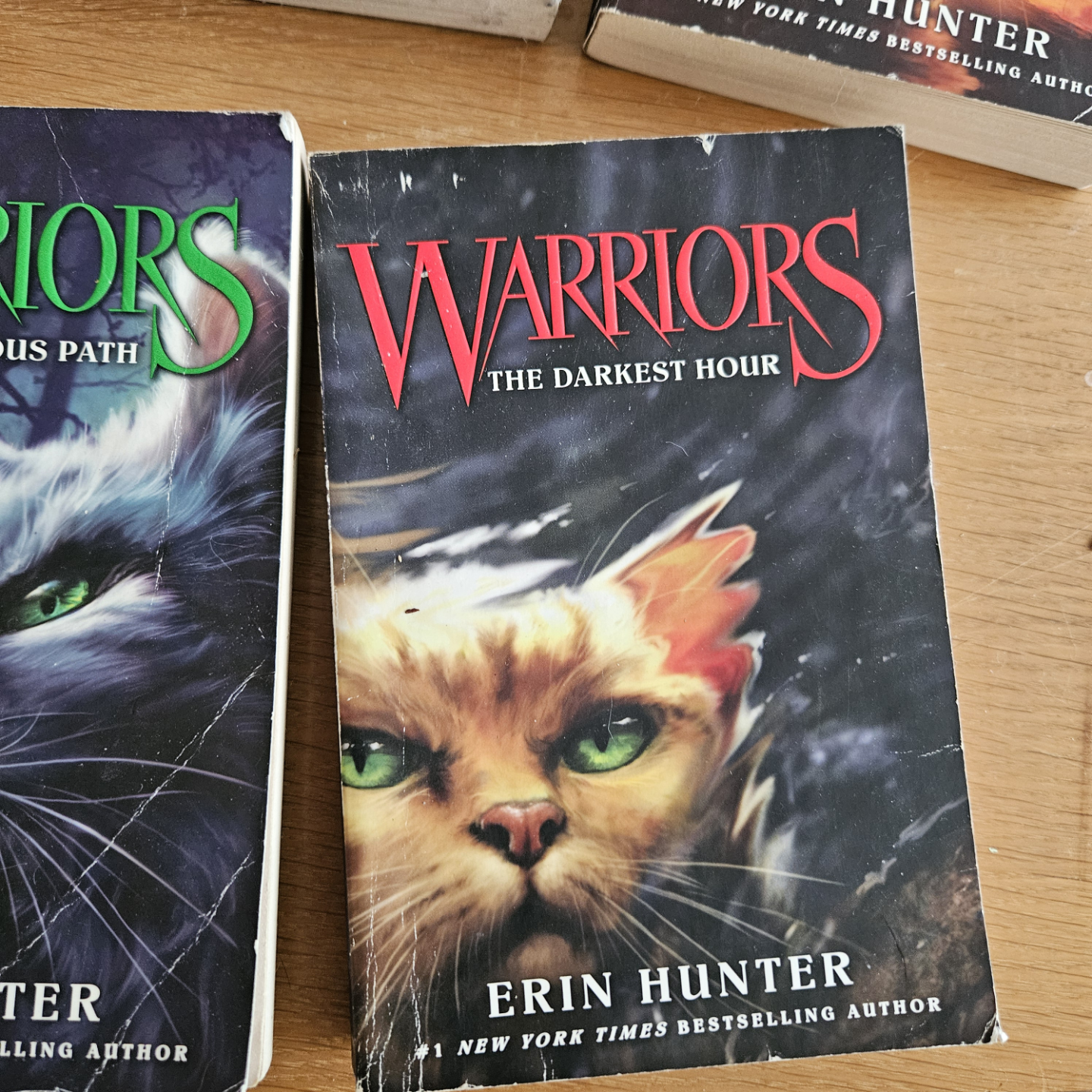 The Prophecies Begin : Warriors Series Books 1-3, 5-6 - photo 5
