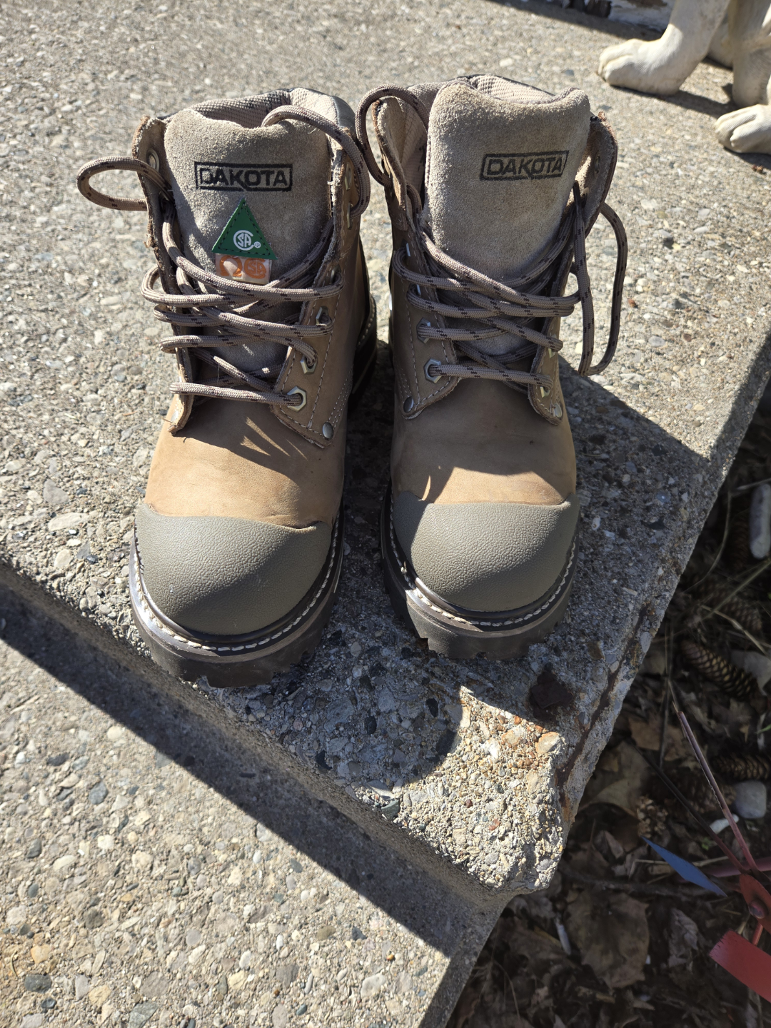 Dakota DuraToe Work Boots - photo 4