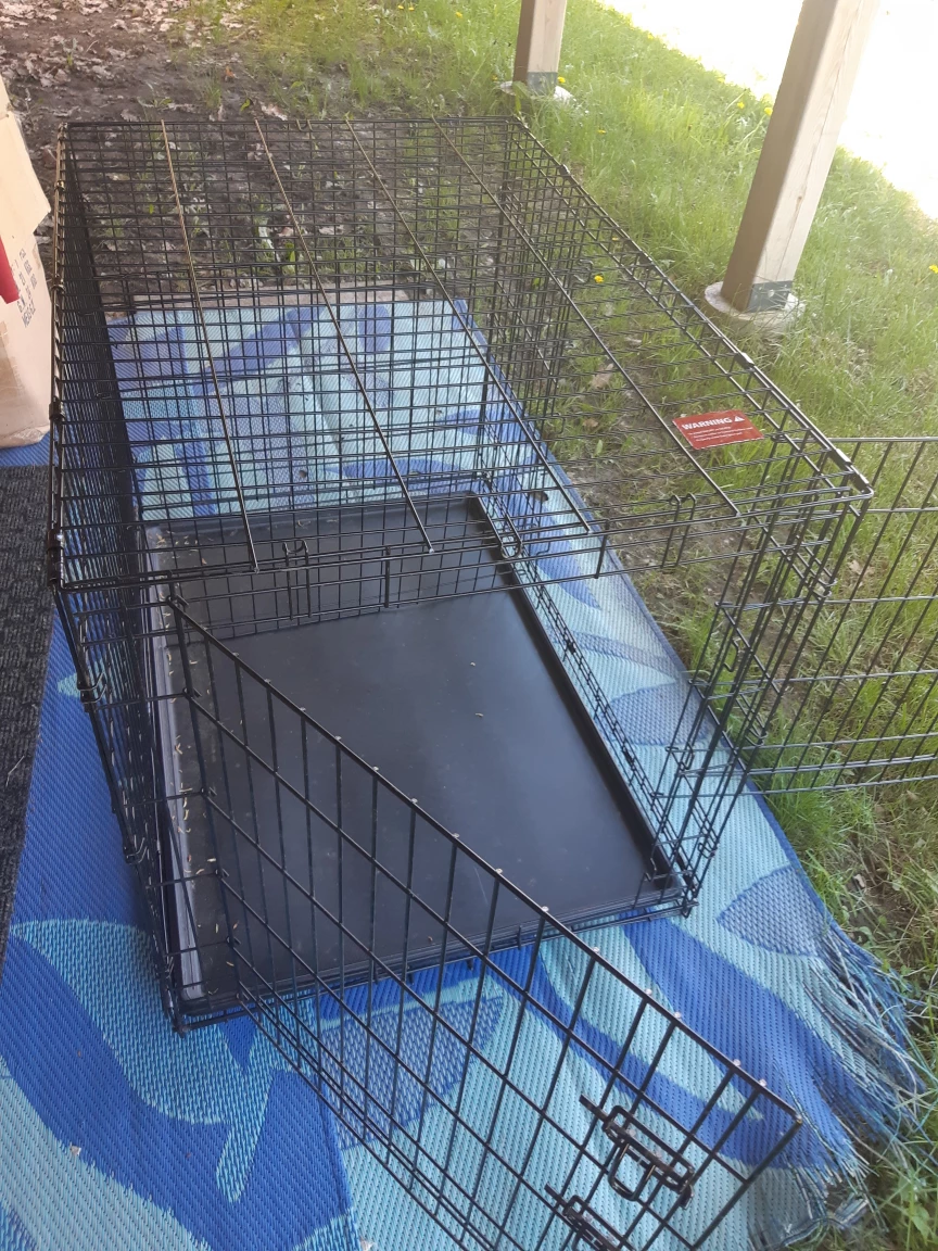 Large Black Metal Dog Crate