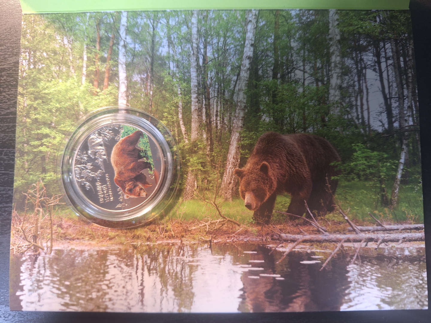 Ukraine 5 Hryvnia 2018 Brown Bear Silver Coin - photo 3