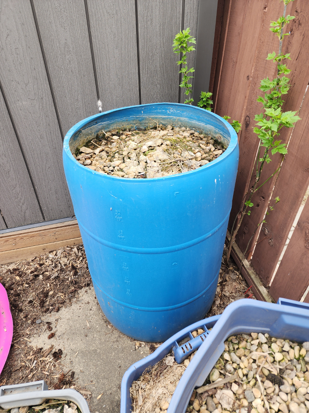 Three plastic containers filled with rocks and small plants - photo 2