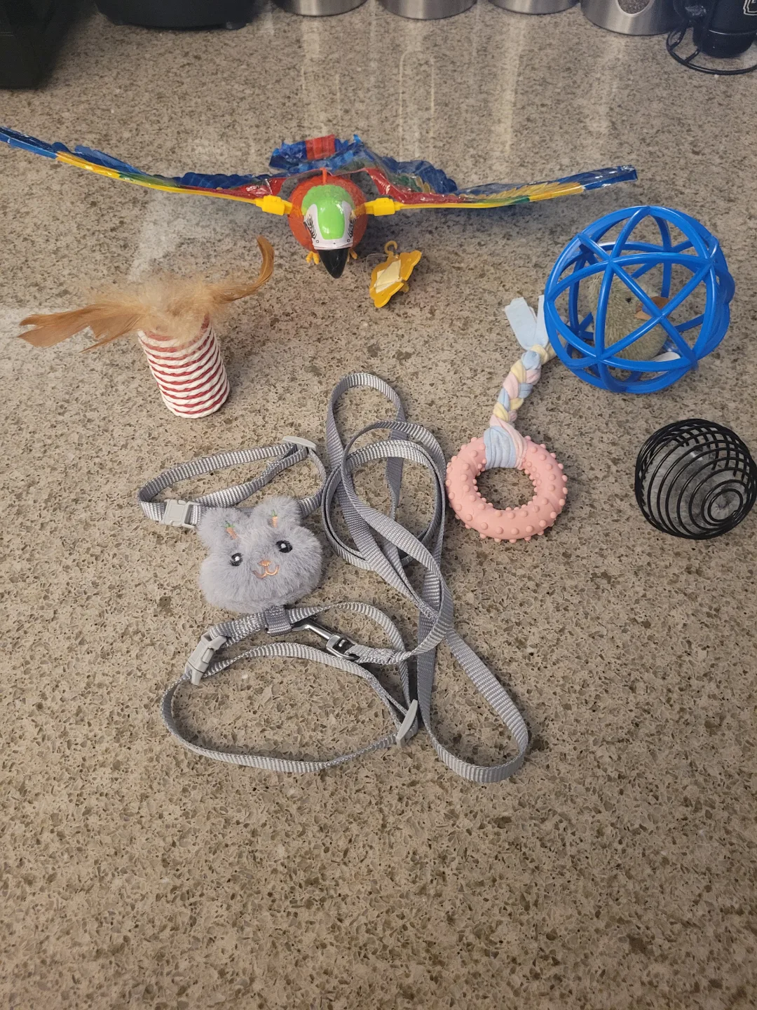 Pet Toy Bundle - Parrot, Kong Toy, Cat Harness, and More! image indicator(3)