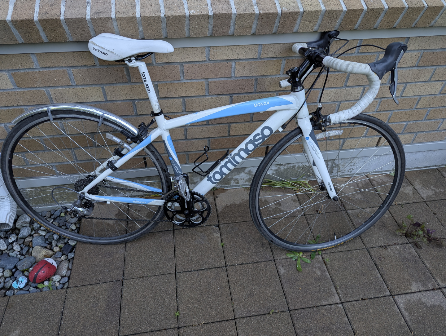 Women's Tommaso Monza Road Bike - 50cm Frame