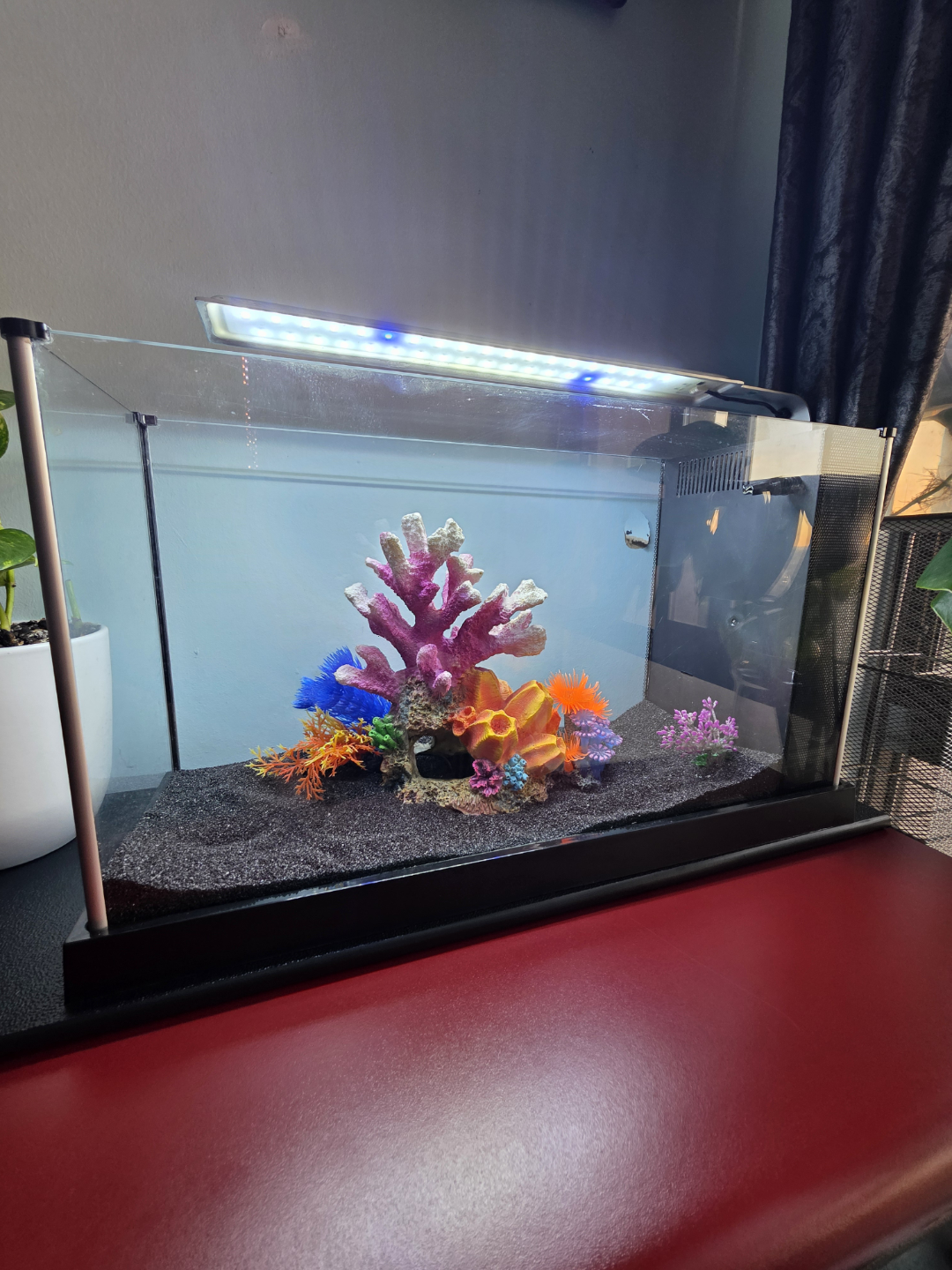 fluval sea 5 gallon