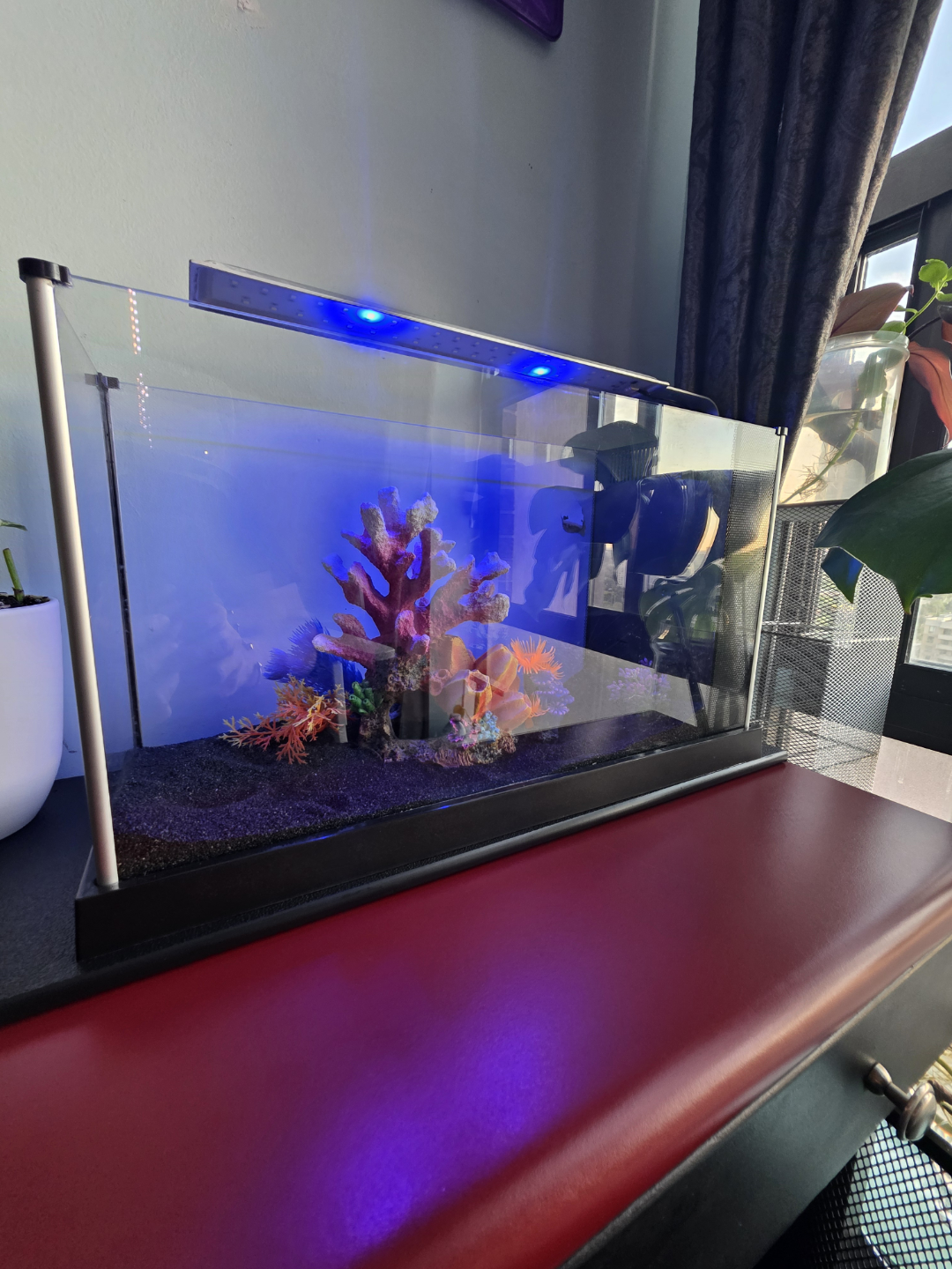 fluval sea 5 gallon - photo 2