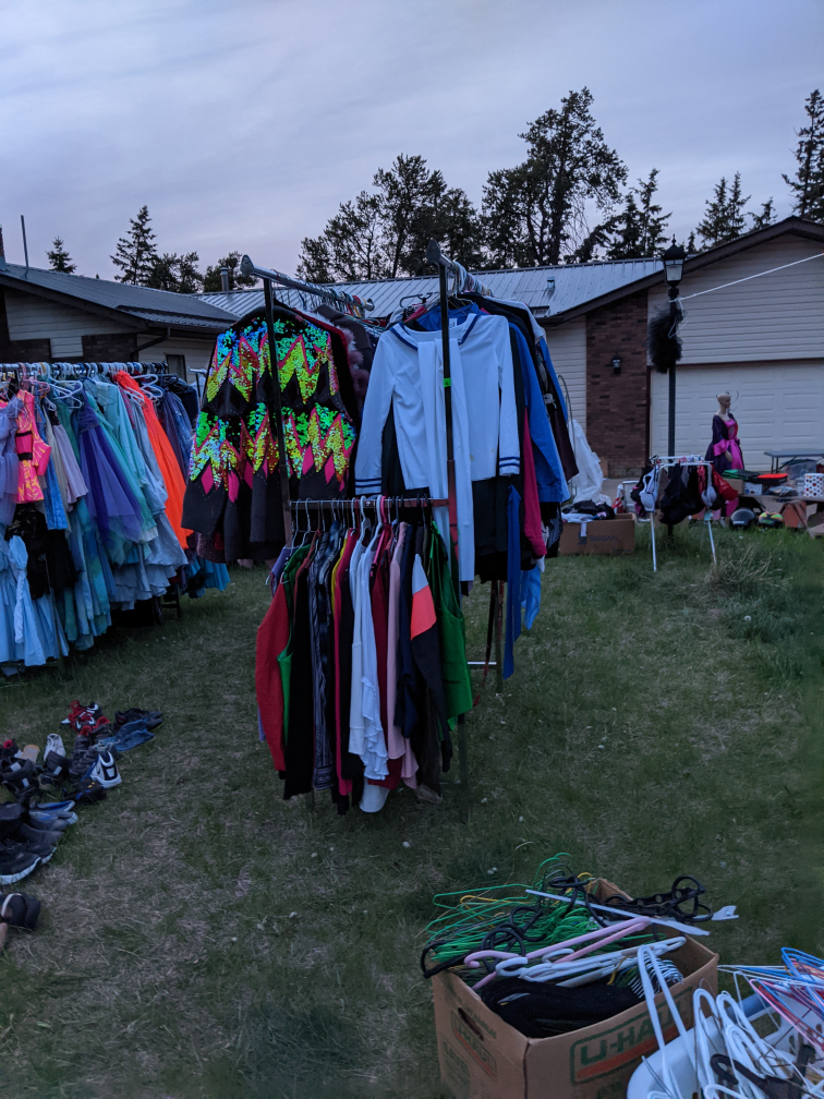 Huge Clothing Lot - Dresses, Tops, Bottoms, Bras & More!