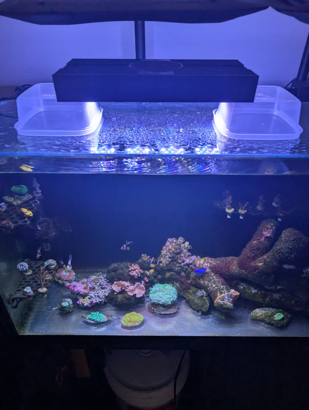 AI Hydra Reef Aquarium Light thumbnail