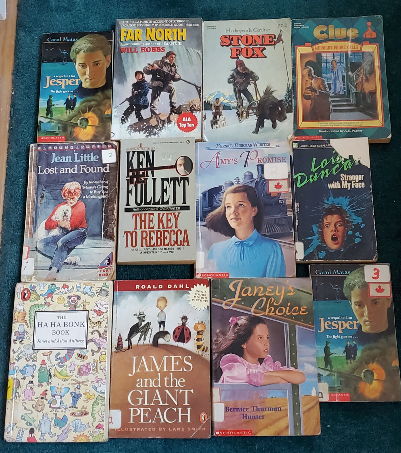 Lot of 20 Children's Chapter Books