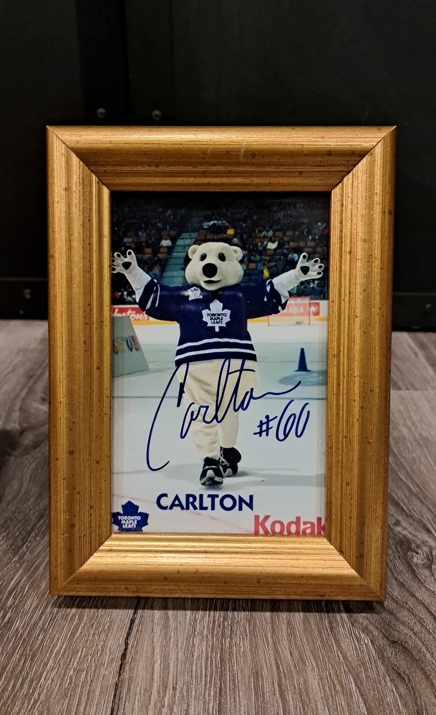Toronto Maple Leafs 🍁 Framed Autographed Photos image indicator(2)